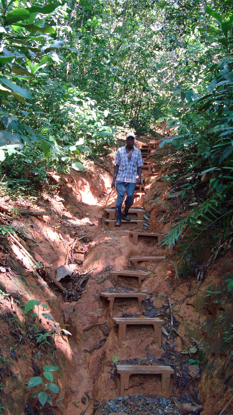 cruces de senderos caminos con ríos y arroyos escaleras y senderos acceso piscícolas acuicultura caminos de acceso escalas disponer de unas escaleras chorros cascadas senderos caminos visita a reservas estanques piscícolas visita a áreas acuicultura ecológica 00 213879546 cruces de senderos caminos con ríos y arroyos escaleras y senderos acceso piscícolas acuicultura caminos de acceso escalas disponer de unas escaleras chorros cascadas senderos caminos visita a reservas estanques piscícolas visita a áreas acuicultura ecológica 00564879213 cruces de senderos caminos con ríos y arroyos escaleras y senderos acceso piscícolas acuicultura caminos de acceso escalas disponer de unas escaleras chorros cascadas senderos caminos visita a reservas estanques piscícolas visita a áreas acuicultura ecológica 00 564879213546 cruces de senderos caminos con ríos y arroyos escaleras y senderos acceso piscícolas acuicultura caminos de acceso escalas disponer de unas escaleras chorros cascadas senderos caminos visita a reservas estanques piscícolas visita a áreas acuicultura ecológica 00